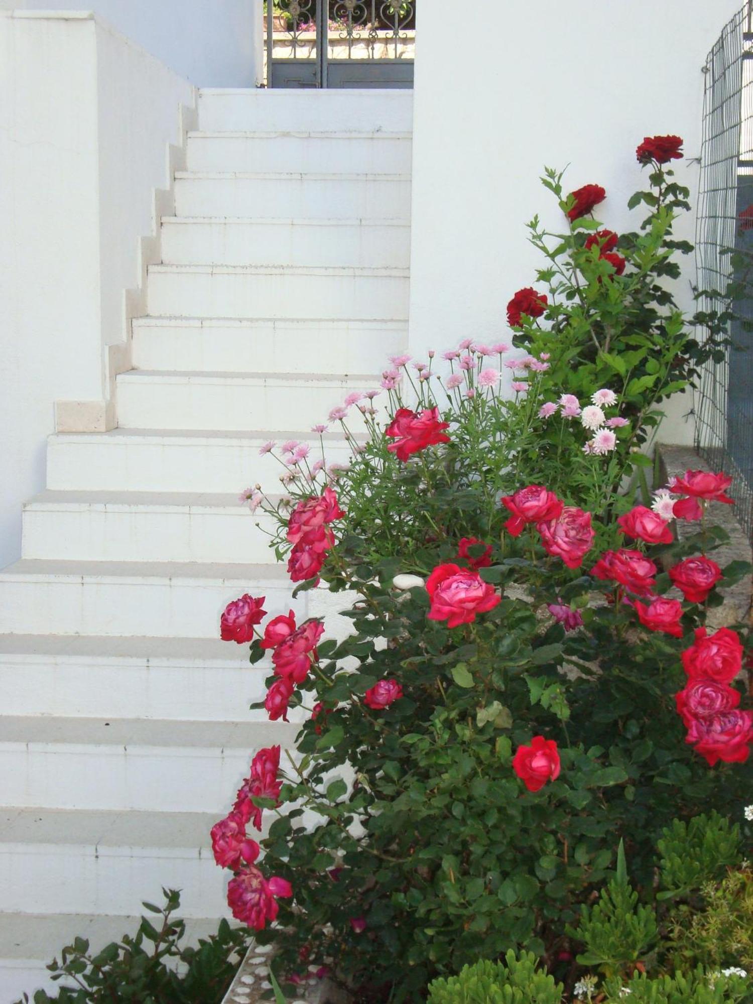 Guesthouse Iva Χβαρ Εξωτερικό φωτογραφία